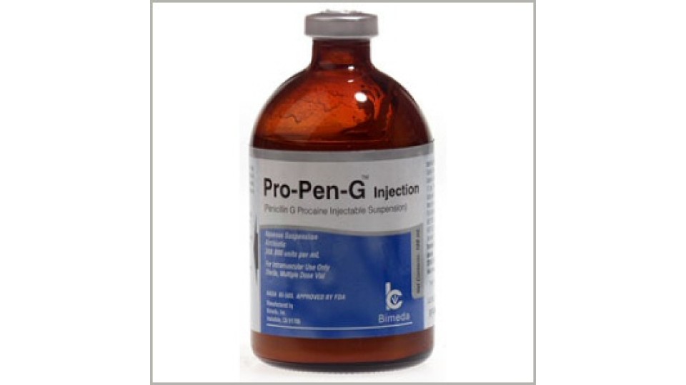 The "Balance of Disease"